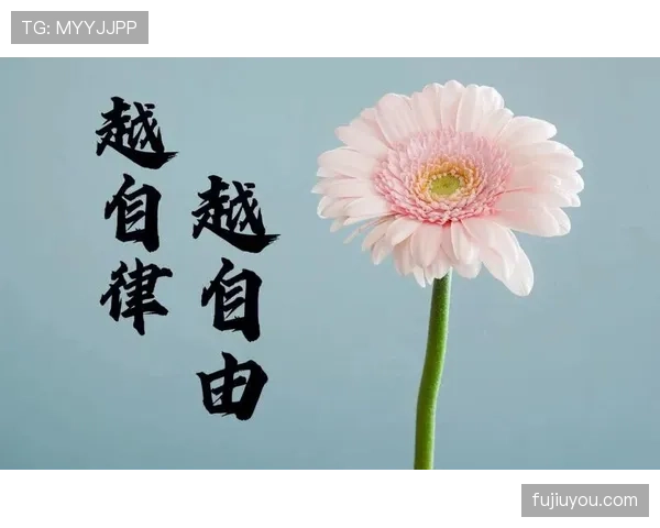 杜丽退役后居然每天五点起床练瑜伽，这自律看得我手机都拿不稳了